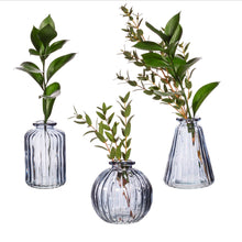 Load image into Gallery viewer, Sass &amp; Belle Grey Glass Bud Vases - Set 3
